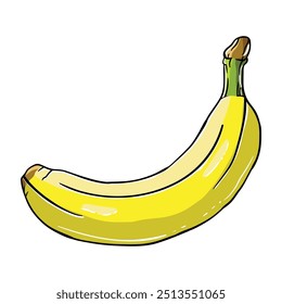Estilo de desenho manual do vetor de banana. É adequado para ícone, sinal ou símbolo de frutas.