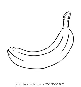 Estilo de dibujo a mano de Vector de plátano. Es conveniente para el icono de las frutas, el signo o el símbolo.