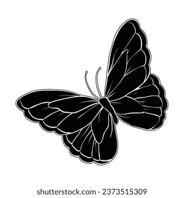 Hand drawing style of butterfly vector. It is suitable for animal icon, sign or symbol.