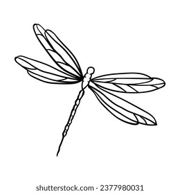 Hand drawing style of butterfly vector. It is suitable insects icon, sign or symbol.