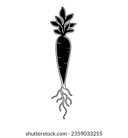 Hand drawing style of carrot vector. Suitable for vegetables icon, sign or symbol.