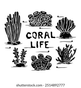 Hand drawing style of coral vector. It is suitable for marine life icon, sign or symbol.