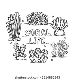 Estilo de dibujo a mano de Vector coral. Es conveniente para el icono, el signo o el símbolo de la vida marina.