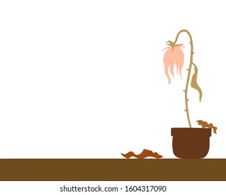 hand drawing style of a dead rose in a pot isolated on white background. There’s a copy space for your text. Concept of sadness, loneliness, death, ending and etc.