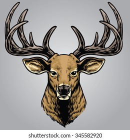 hand drawing style of deer head