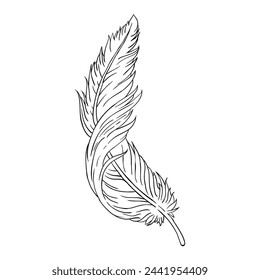 Hand drawing style of feather vector. It is suitable for animal icon, sign or symbol.