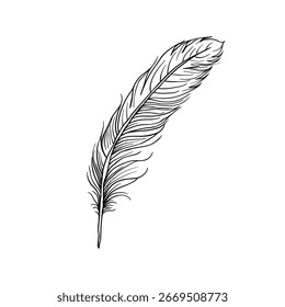 Hand drawing style of feather vector. It is suitable for feather tattoo icon, sign or symbol.
