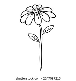 Estilo de dibujo manual del vector de flor. Adecuado para símbolo o símbolo de icono natural.