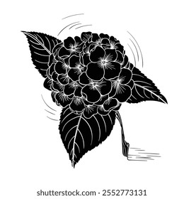 Hand drawing style of flower vector. It is suitable for plant icon, sign or symbol.