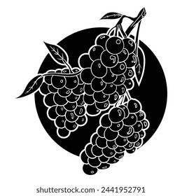 Hand drawing style of grape vector. It is suitable for fruit icon, sign or symbol.