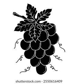 Estilo de desenho manual do vetor de uvas. É adequado para ícone, sinal ou símbolo de frutas.