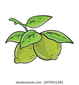 Hand drawing style of lime vector.
It is suitable for fruit icon, sign or symbol