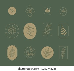 hand drawing style line icon leaves set. concept illustration. flat design vector graphic style.