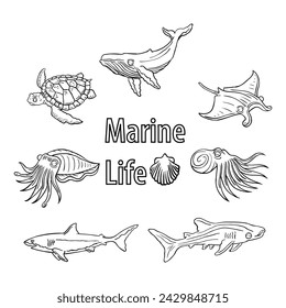 Hand drawing style of marine life icon set vector. it is suitable for sea creature icon, sign or symbol.