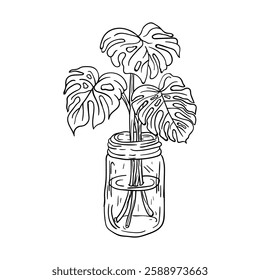 Hand drawing style of monstera vector. it is suitable for plant icon, sign or symbol.