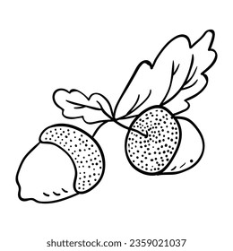 Hand drawing style of nut vector. Suitable for fruits icon, sign or symbol.