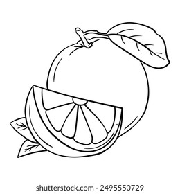 Hand drawing style of orange vector.
It is suitable for fruit icon, sign or symbol.