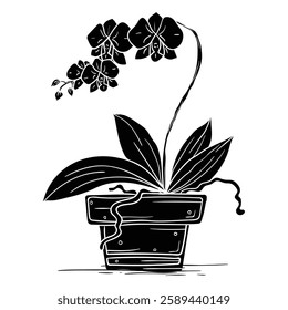 Hand drawing style of orchid vector. It is suitable for flower icon, signor symbol.