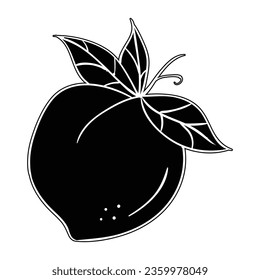 Hand drawing style of peach vector. It s suitable for fruits icon, sign or symbol.