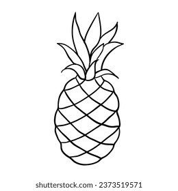 Hand drawing style of pineapple vector. It is suitable for fruits icon, sign or symbol.