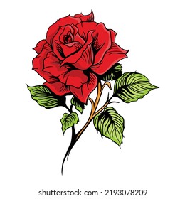 hand drawing style of rose vector.
Suitable for flower icon.