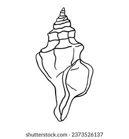 Hand drawing style of seashell vector. It is suitable for animals icon, sign or symbol.