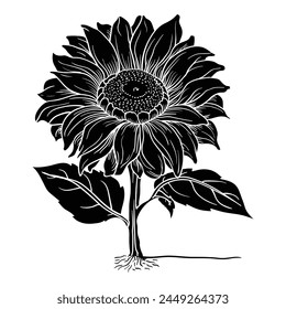 Hand drawing style of sun flower vector.
It is suitable for flower and plant icon, sign or symbol.