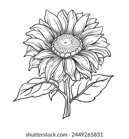 Hand drawing style of sun flower vector.
It is suitable for flower and plant icon, sign or symbol.