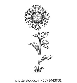 Hand drawing style of sun flower vector. It is suitable for plant or flower icon, sign or symbol.
