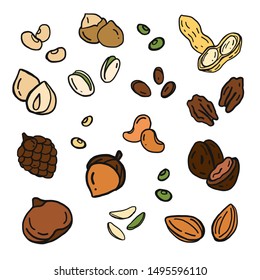 Nuts Seamless Pattern Vector Coconut Almond Stock Vector (Royalty Free ...