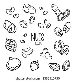 Hand drawing styles with nuts. Nuts doodle.