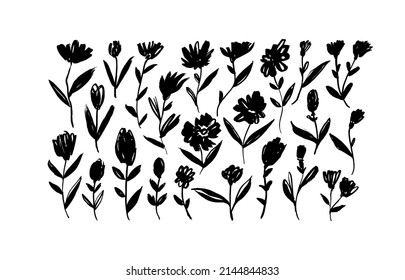 Hand drawing stylized brush flowers on white background. Ink drawing flowers and plants, monochrome artistic botanical illustration. Small wild plants, herbs, leaves. Black brush silhouettes.