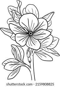 Hand Drawing of Summer Flowers vector, 24 May 2022