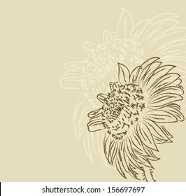 Hand drawing a sunflower on a beige background vetor