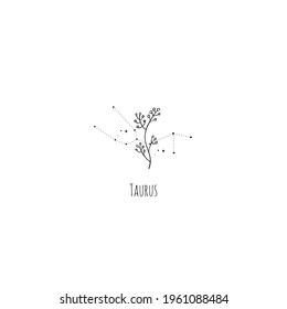 Hand drawing Taurus constellation symbol with floral branch and stars. Modern minimalist mystical astrology aesthetic illustration with zodiac signs