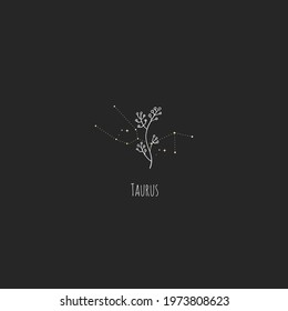 Hand drawing Taurus constellation symbol with floral branch and stars. Modern minimalist mystical astrology aesthetic illustration with zodiac signs