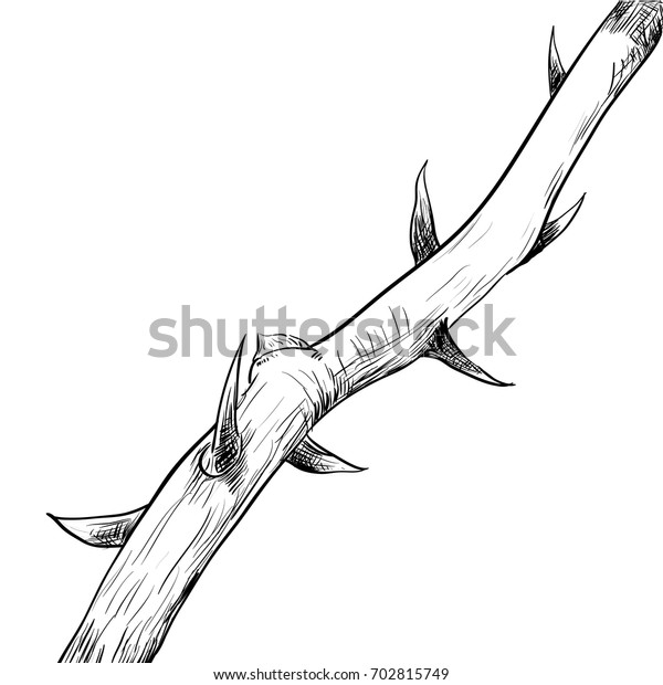 Hand Drawing Thorn Black White Simple Stock Vector (Royalty Free) 702815749