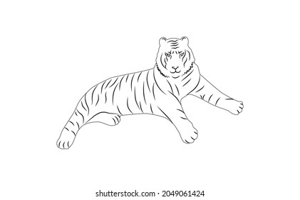 Hand drawing tiger illustration vector. tiger lies