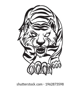 hand drawing of a tiger lurking, black white vector illustration