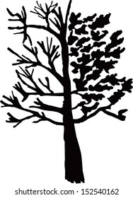 Hand drawing of a tree .