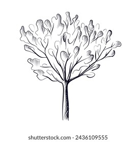 hand drawing of a tree vector illustration