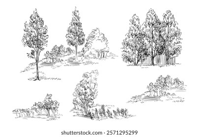 Hand drawing trees and shrubs set. Monochrome sketches of different trees. Vector illustration isolated on white background. Design elements. For prints, design, cards and decorations.