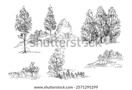 Hand drawing trees and shrubs set. Monochrome sketches of different trees. Vector illustration isolated on white background. Design elements. For prints, design, cards and decorations.