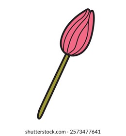 Hand Drawing of Tulip Flower with Elegant Details