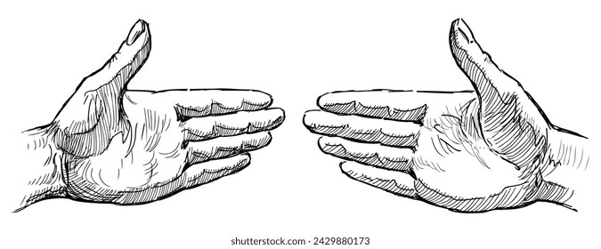 Hand drawing of two human palms in friendly gesture, sketch black and white isolated on white