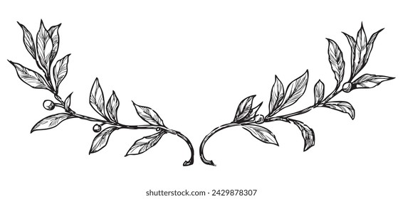 Hand drawing of two laurel branches, black and white vector illustration isolated on white