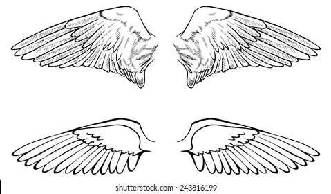 hand drawing two pairs of wings on a white background
