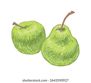 Hand drawing of two ripe green apple and pear, fresh fruits, vector illustration isolated on white