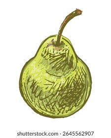 Hand drawing of two ripe green apple and pear, fresh fruits, vector illustration isolated on white