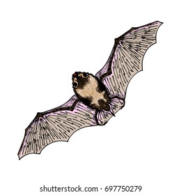 Hand drawing vampire bat. Decorative hand drawn bat. Witchcraft, voodoo magic attribute. Illustration for Halloween. Vector.